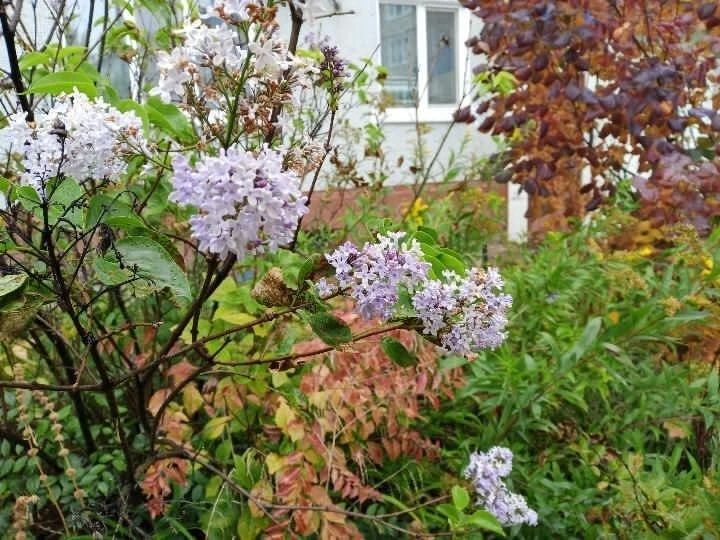 Кусочек лета из конца сентября Кусочек лета из конца сентября