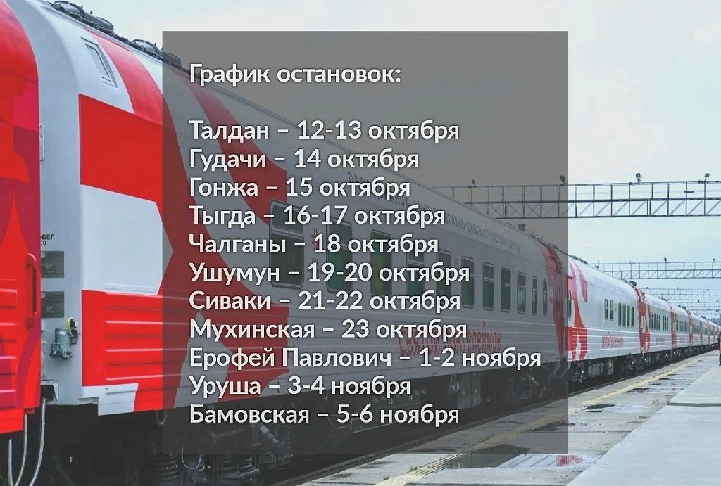 Поезд «Святой Пантелеймон» приедет в Амурскую область: опубликован график работы медиков Поезд «Святой Пантелеймон» приедет в Амурскую область: опубликован график работы медиков