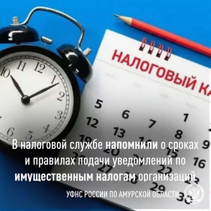 Уведомление об имущественных налогах до 25 октября: форма, КБК и исправление ошибок