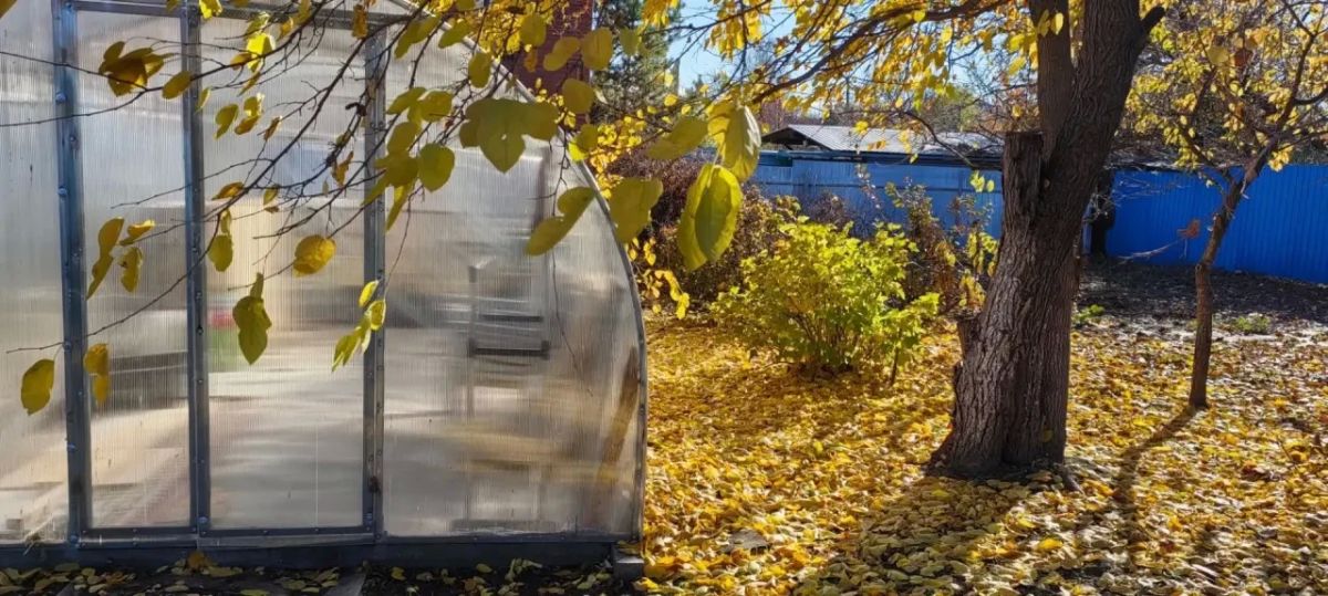 Друзья, выдался у меня небольшой отпуск, но планы на него — как у настоящего дачника: успеть всё! Самое время навести на участке осенний порядок и подготовить его к зиме Друзья, выдался у меня небольшой отпуск, но планы на него — как у настоящего дачника: успеть всё! Самое время навести на участке осенний порядок и подготовить его к зиме