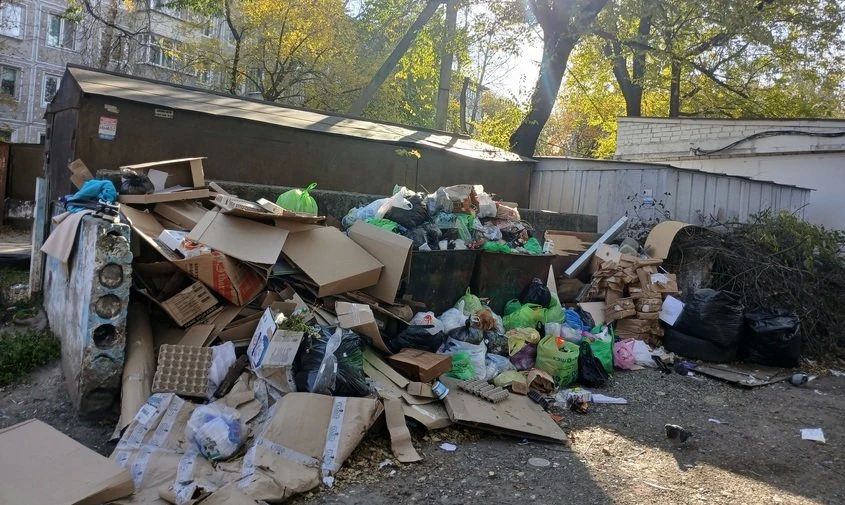 «Вонь ужасная, расплодилось много крыс»: амурчане жалуются на невывоз мусора