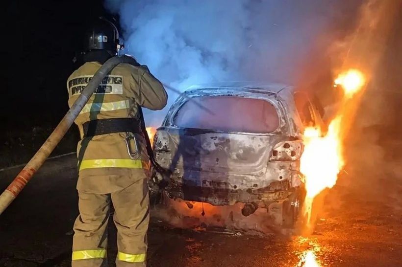На дороге в Тамбовском округе сгорел автомобиль