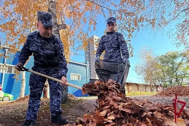 Друзья, хочу поделиться с вами первыми итогами акции «Город берегу» Друзья, хочу поделиться с вами первыми итогами акции «Город берегу»