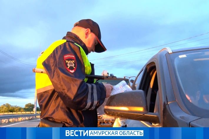 В Приамурье с начала года в ДТП на встречной полосе погиб 31 человек