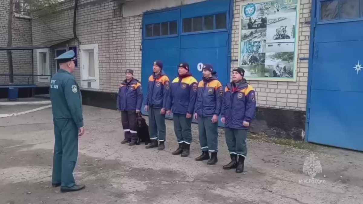Поиски продолжаются. В Архаринском муниципальном округе продолжаются поиски 70-летней женщины, пропавшей вечером 5 октября