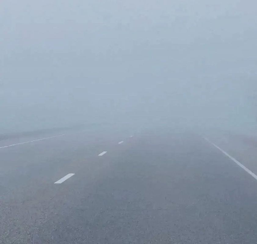 Плотный туман накрывает Приамурье: всё внимание на дорогу! Плотный туман накрывает Приамурье: всё внимание на дорогу!