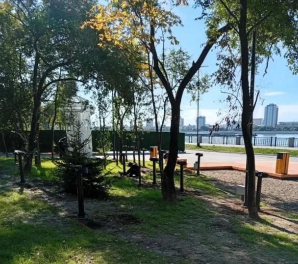 В Благовещенске готовность парка «Амурский лес» достигла 80% В Благовещенске готовность парка «Амурский лес» достигла 80%