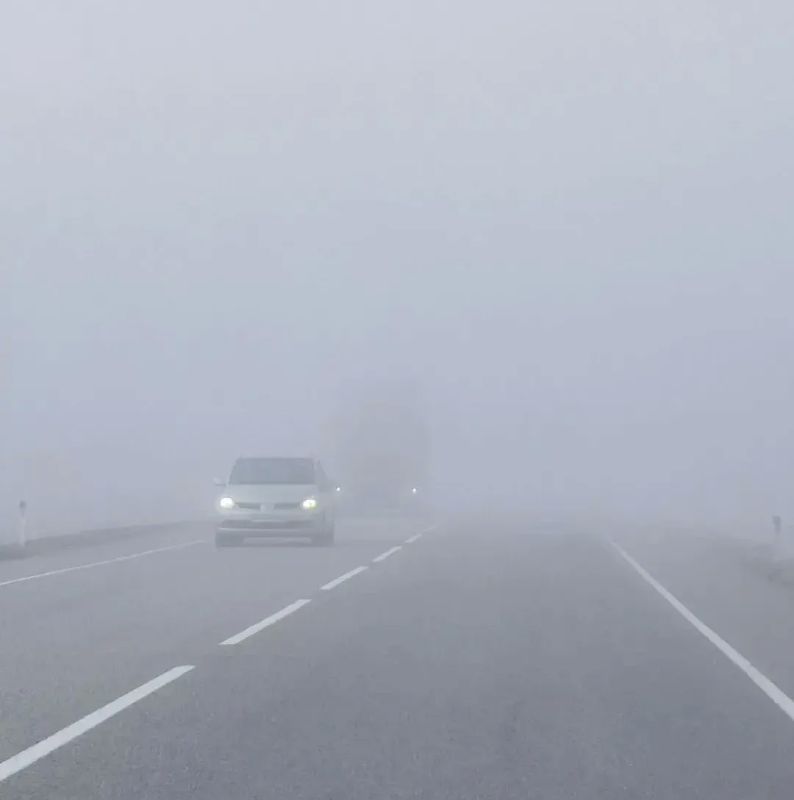 Плотный туман накрывает Приамурье: всё внимание на дорогу!