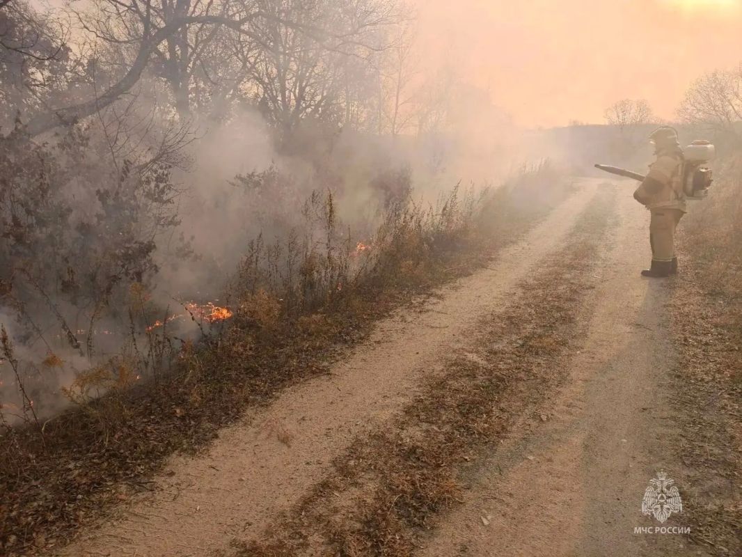 #СобытияМЧС28. В Амурской области за прошедшие сутки Потушено 10 пожаров (в том числе 3 горения сухой растительности), на 3 из них привлекались силы и средства МЧС России: между селами Валуево и Червоная Армия Завитинского...
