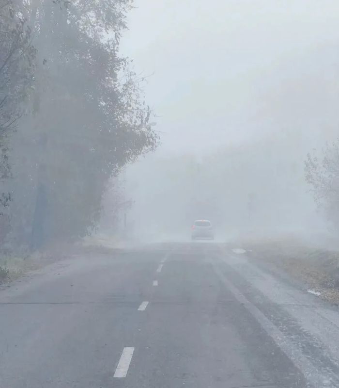 Плотный туман накрывает Приамурье: всё внимание на дорогу! Плотный туман накрывает Приамурье: всё внимание на дорогу!