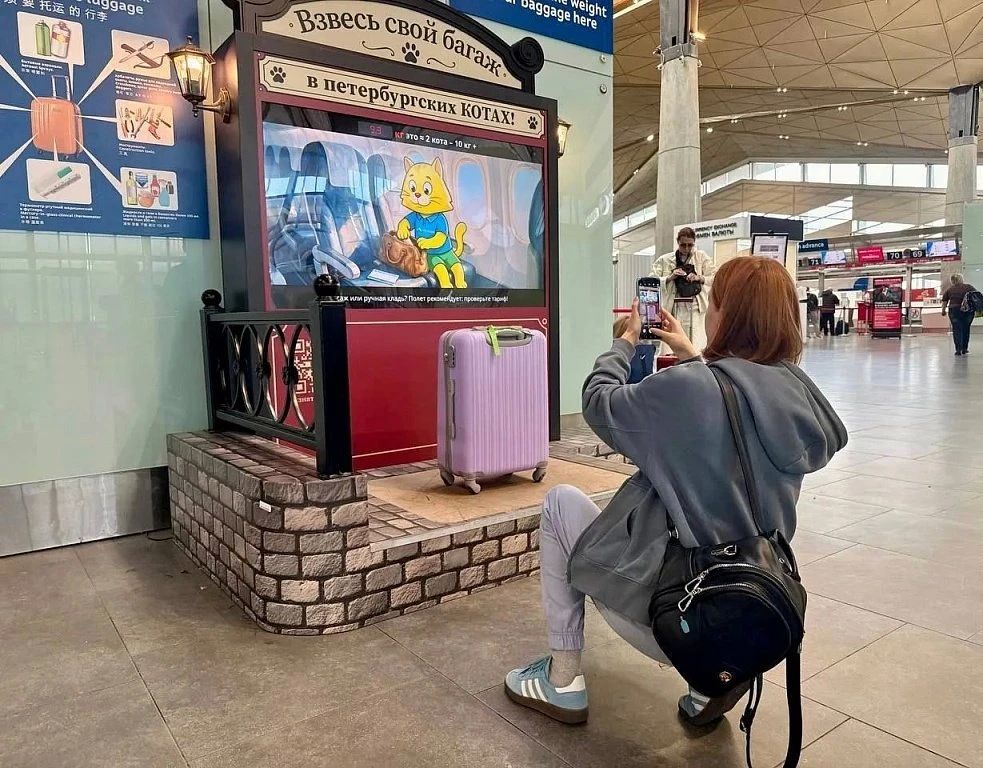 В аэропорту Санкт-Петербурга вес багажа предлагают измерять в котах В аэропорту Санкт-Петербурга вес багажа предлагают измерять в котах