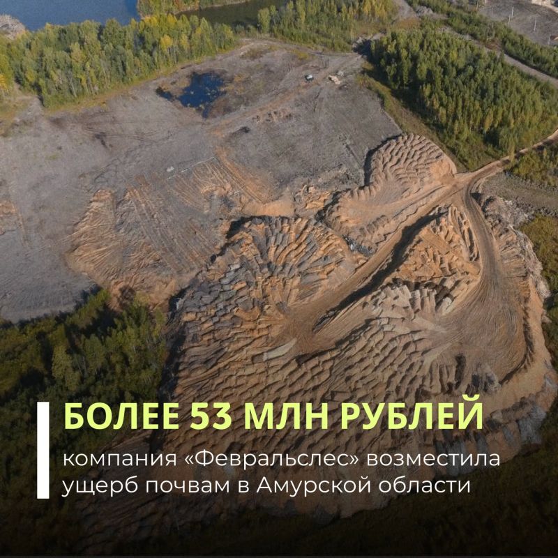Организация «Февральслес» заплатила более 53 млн рублей за ущерб почвам в Амурской области