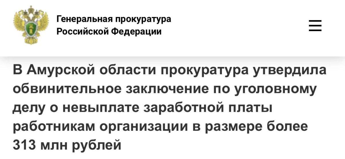 Прокуратура Амурской области утвердила обвинительное заключение по уголовному делу в отношении 39-летнего бывшего генерального директора горнодобывающей компании