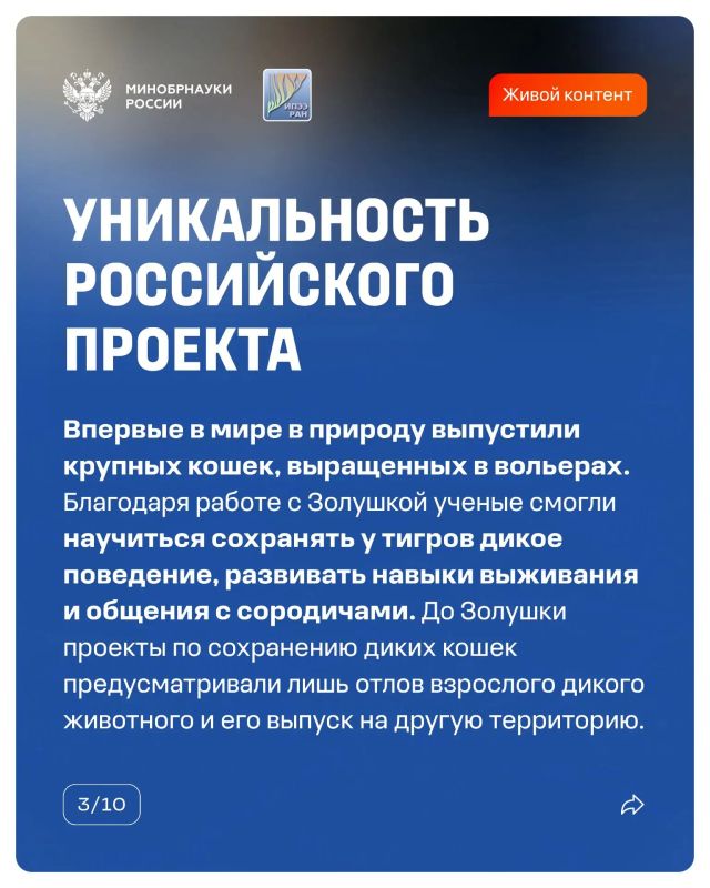14 октября прошел День работников заповедного дела — повод вспомнить, как наука помогает восстанавливать популяции диких животных 14 октября прошел День работников заповедного дела — повод вспомнить, как наука помогает восстанавливать популяции диких животных