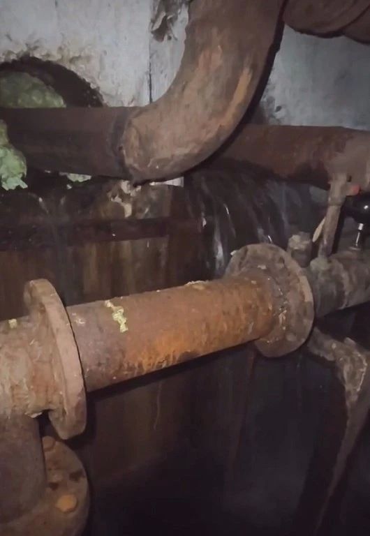 «В подъезде сауна, квартиры — без тепла»: благовещенцы бьют тревогу из-за коммунальной аварии в доме