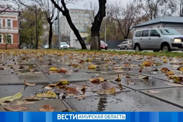 До -12 °С: какая погода ждет амурчан 20 октября