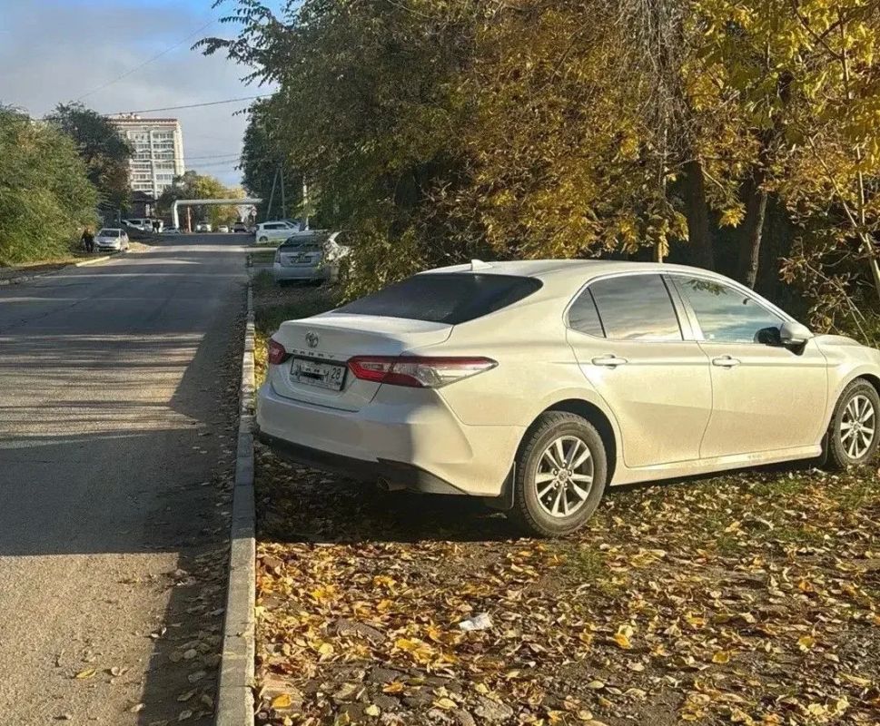 За «осеннюю фотосессию» под деревьями владельцам авто придётся заплатить от 3 до 100 тысяч рублей За «осеннюю фотосессию» под деревьями владельцам авто придётся заплатить от 3 до 100 тысяч рублей
