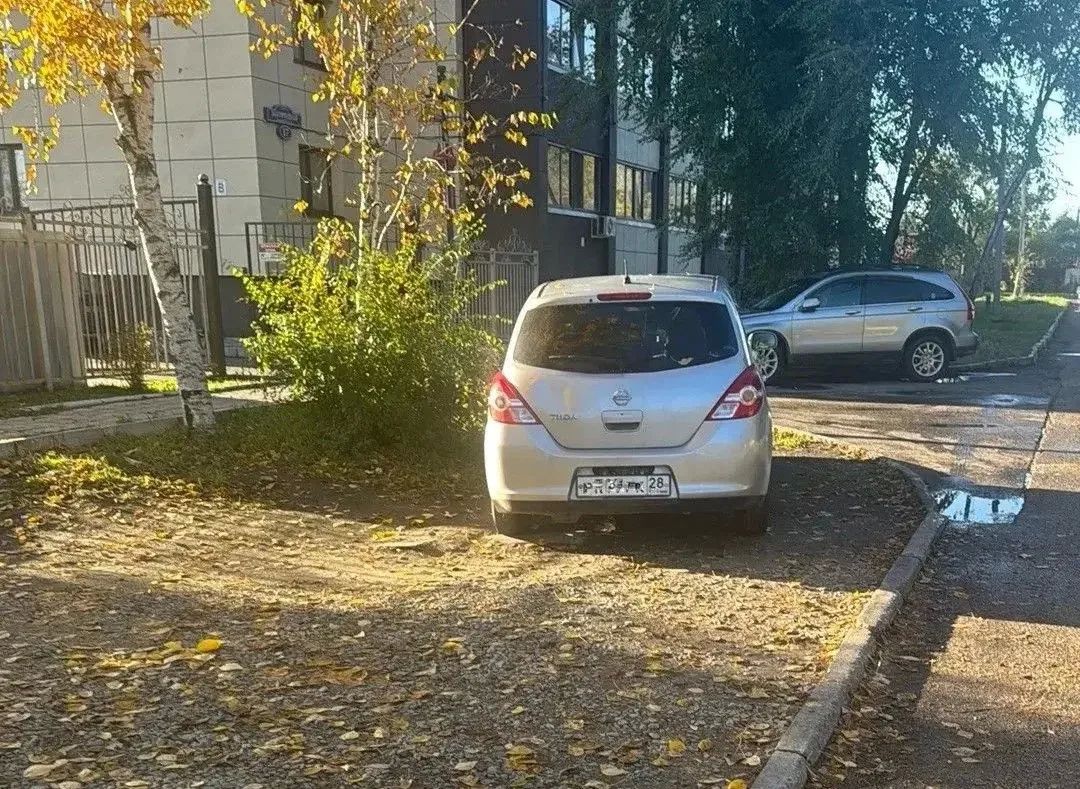 За «осеннюю фотосессию» под деревьями владельцам авто придётся заплатить от 3 до 100 тысяч рублей За «осеннюю фотосессию» под деревьями владельцам авто придётся заплатить от 3 до 100 тысяч рублей