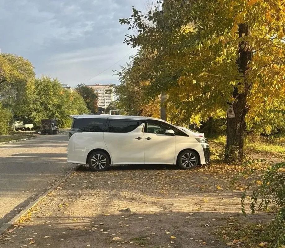 За «осеннюю фотосессию» под деревьями владельцам авто придётся заплатить от 3 до 100 тысяч рублей За «осеннюю фотосессию» под деревьями владельцам авто придётся заплатить от 3 до 100 тысяч рублей