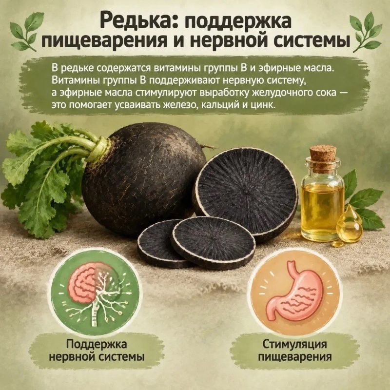 Тыква, капуста, лук и чеснок: что спасёт от осенней хандры Тыква, капуста, лук и чеснок: что спасёт от осенней хандры