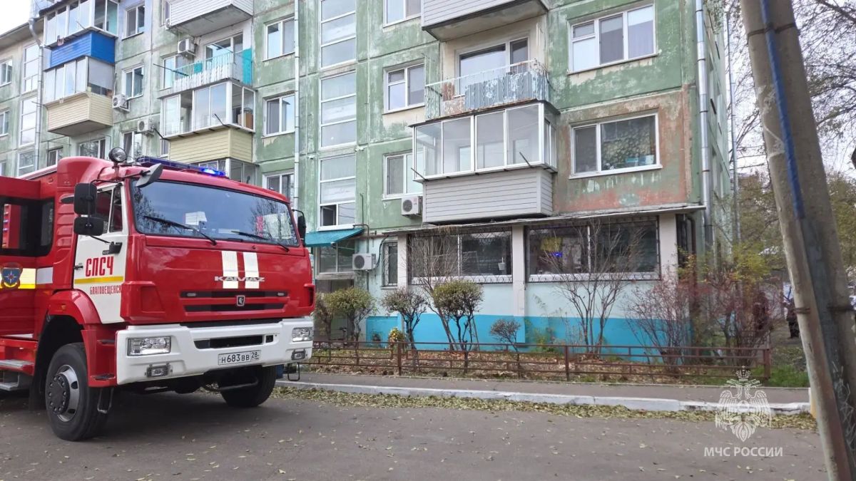 В Благовещенске пожарные спасли четверых человек В Благовещенске пожарные спасли четверых человек
