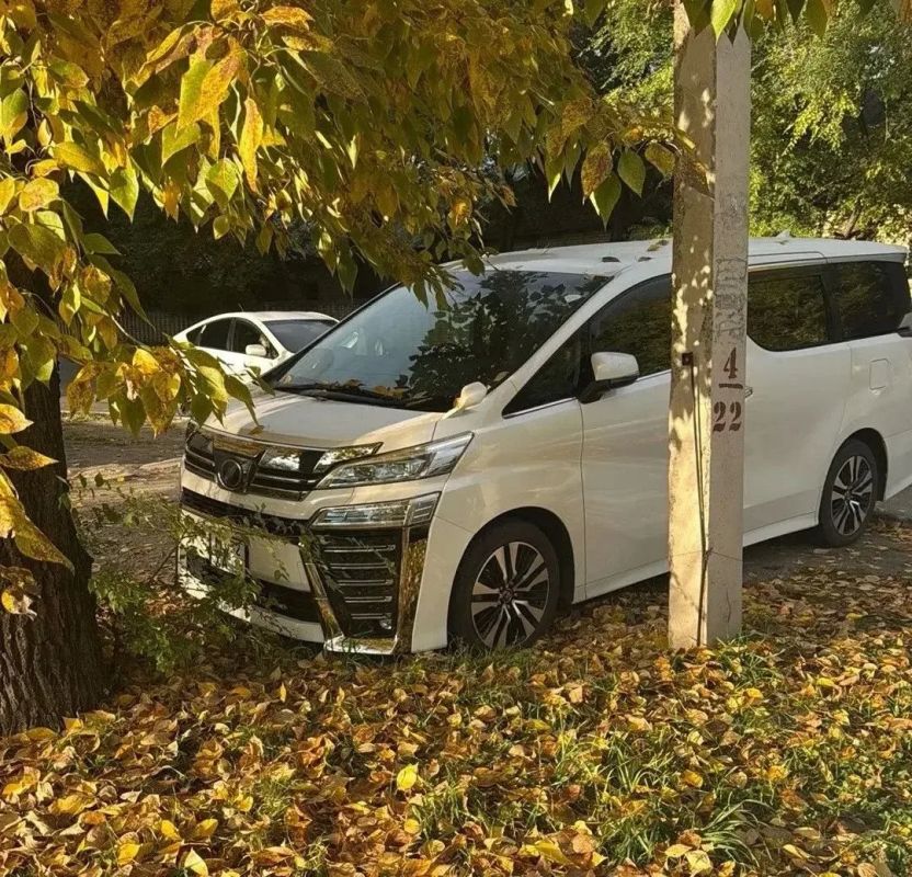 За «осеннюю фотосессию» под деревьями владельцам авто придётся заплатить от 3 до 100 тысяч рублей