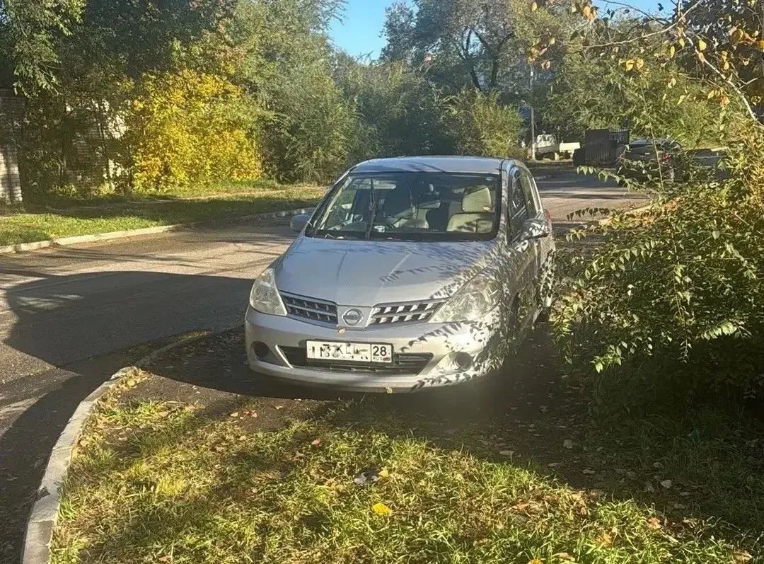 За «осеннюю фотосессию» под деревьями владельцам авто придётся заплатить от 3 до 100 тысяч рублей За «осеннюю фотосессию» под деревьями владельцам авто придётся заплатить от 3 до 100 тысяч рублей