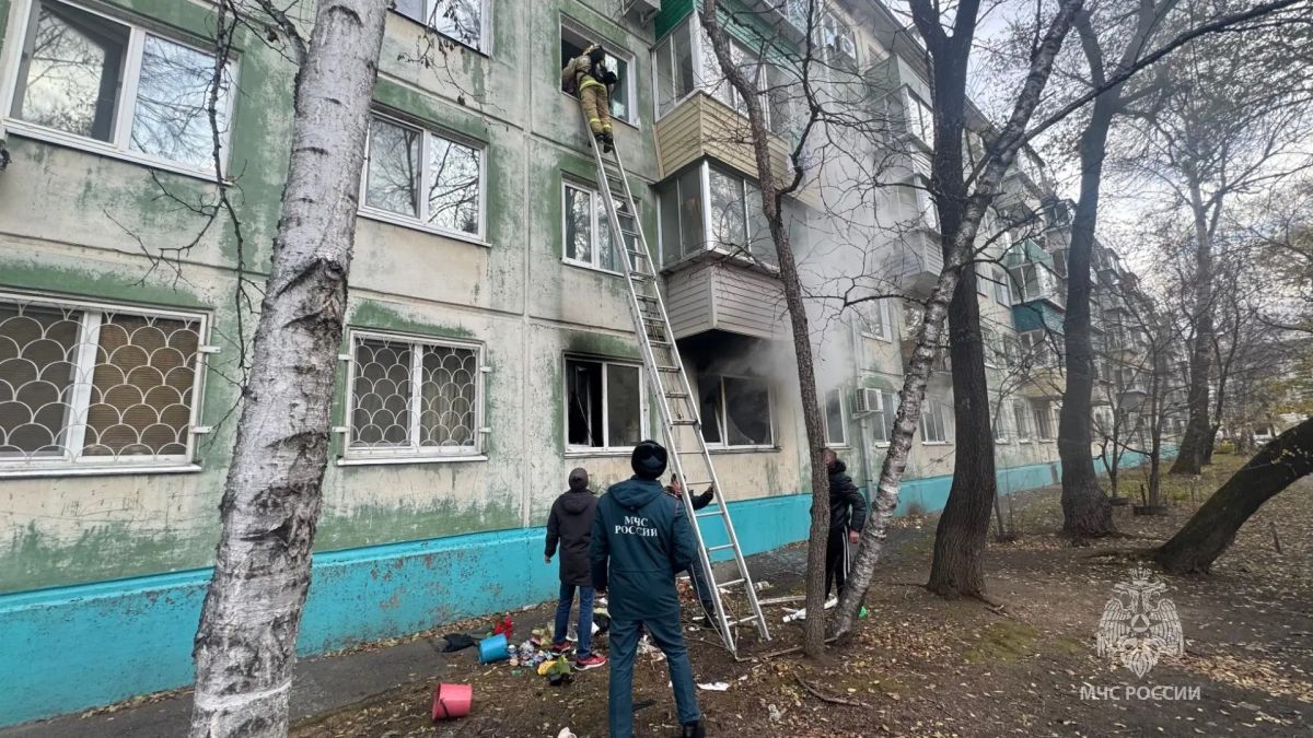 В Благовещенске пожарные спасли четверых человек В Благовещенске пожарные спасли четверых человек