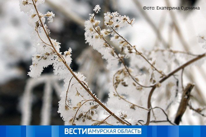 Резкий перепад температур: прогноз погоды в Приамурье на 22 октября