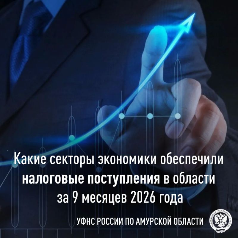 Налоговые поступления в Амурской области: итоги 9 месяцев 2026 года