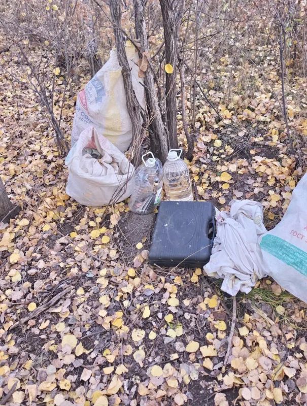 В Амурской области полицейские изъяли из незаконного оборота более 36 килограммов марихуаны и около 400 граммов гашишного масла В Амурской области полицейские изъяли из незаконного оборота более 36 килограммов марихуаны и около 400 граммов гашишного масла