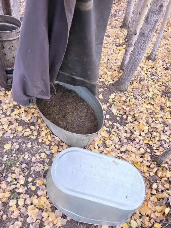 В Амурской области полицейские изъяли из незаконного оборота более 36 килограммов марихуаны и около 400 граммов гашишного масла В Амурской области полицейские изъяли из незаконного оборота более 36 килограммов марихуаны и около 400 граммов гашишного масла