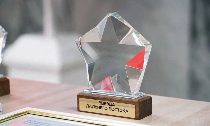 Стартовала IX общественно-деловая премия «Звезда Дальнего Востока»