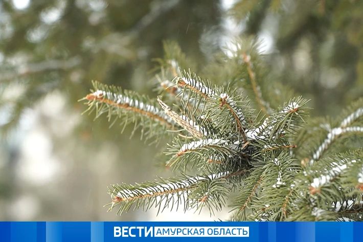 Осадки на севере: прогноз погоды на 27 октября в Приамурье
