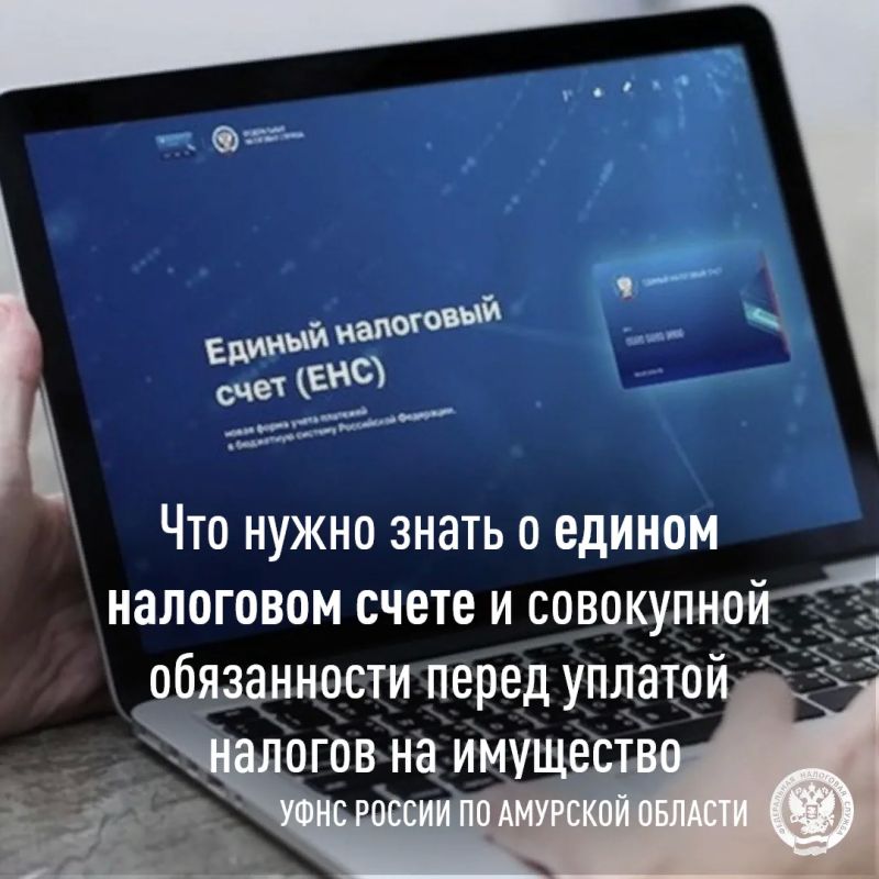 Сальдо ЕНС: что означает и почему важно проверить до срока уплаты