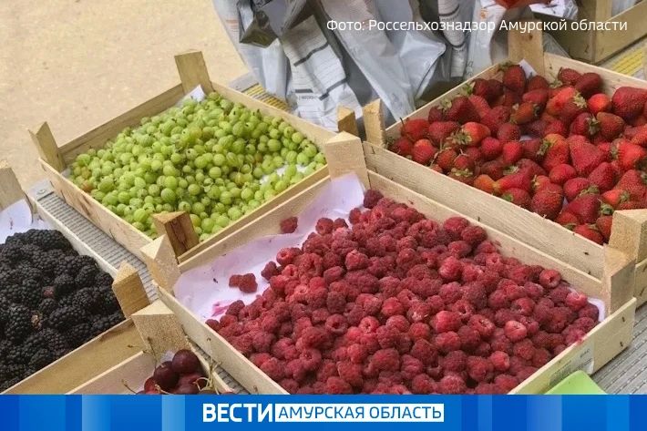 Более 3,2 тысячи тонн ягод импортировали в Приамурье из Китая с начала года