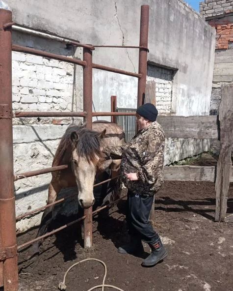 Лошадки из Иннокентьевки Завитинского округа на приеме у ветеринарного врача Лошадки из Иннокентьевки Завитинского округа на приеме у ветеринарного врача