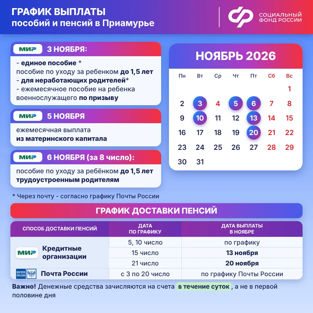 ГРАФИК ДОСТАВКИ выплат от Отделения СФР по Амурской области в НОЯБРЕ 2026 года