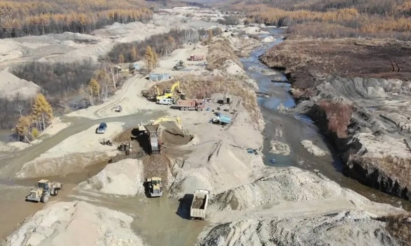В особо крупном размере: на севере Приамурья неизвестные нарубили деревьев на 17,7 миллиона рублей