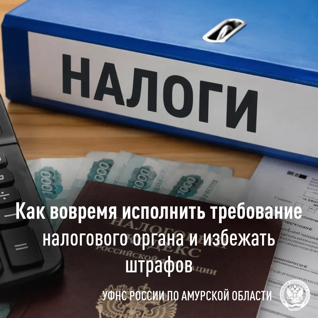 Как не получить штраф за непредставление документов: сроки, правила и алгоритм действий